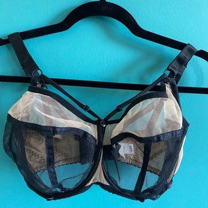 Ewa Michalak SMN W Sieci 70 JJ